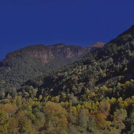 Daire Rosa Canfranc, Tu Refugio En El Corazon Del Pirineo Aragones
