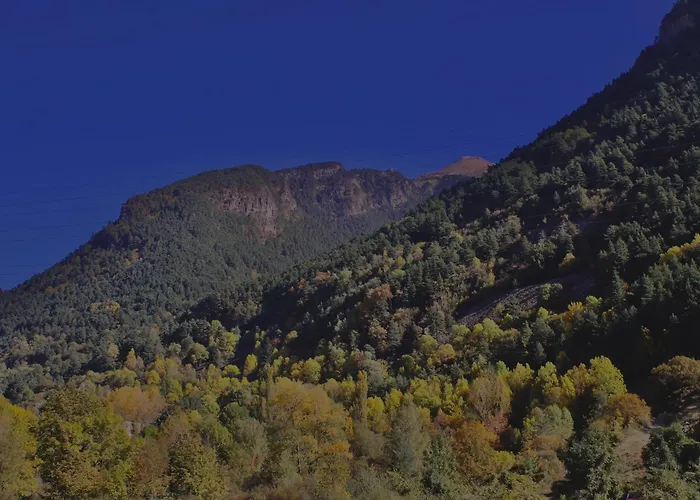 Daire Rosa Canfranc, Tu Refugio En El Corazon Del Pirineo Aragones